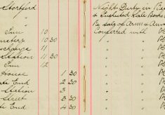 Examined Sale books Of Mr H O Lee and H Sparrow Re Arms and Ammunitions