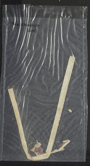 Pages 185-Objects in book