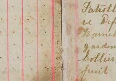 Kept observation on various gardens re fruit stealing, reported James Collins, Ernest Eades for fruit stealing