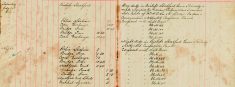 Examined Sale books Of Mr H O Lee and H Sparrow Re Arms and Ammunitions