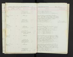 Pages 43-43