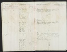 Pages 19-19