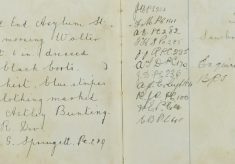 Escaped from Hill End Asylum St. Peters
