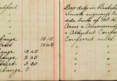 Inspected Sale books Of Mr H O Lee and H Sparrow Re Arms and Ammunitions