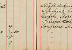 Inspected Sale books Of Mr H O Lee and H Sparrow Bishop's Stortford Re Arms and Ammunitions