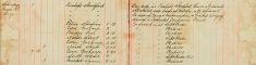 Inspected Sale books Of Mr H O Lee and H Sparrow Re Arms and Ammunitions