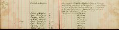 Inspected Sale books Of Mr H O Lee and H Sparrow Re Arms and Ammunitions