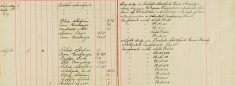 Inspected Sale books Of Mr H O Lee and H Sparrow Re Arms and Ammunitions