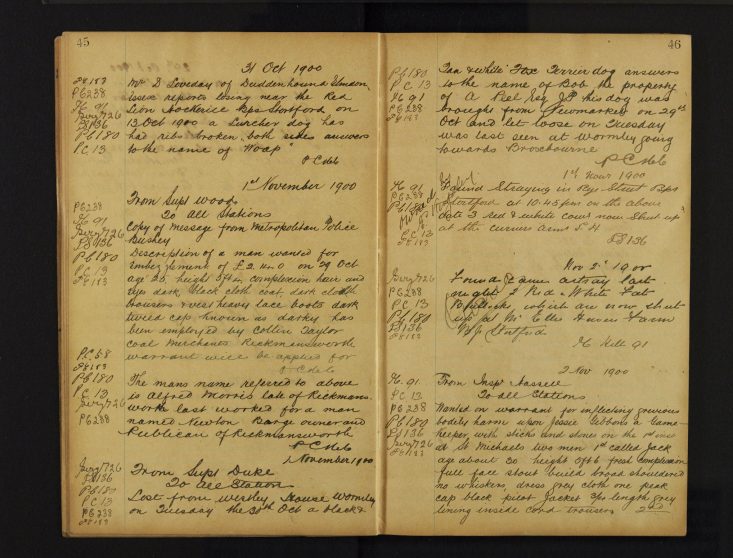 Pages 045-046