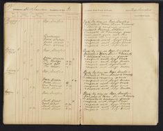 Pages 029-029