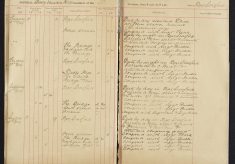 Pages 043-043