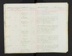 Pages 11-11