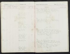 Pages 67a-67a