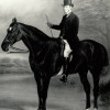 Robertson, Archibald. 1841 - 1880