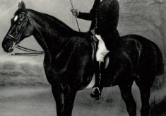 Robertson, Archibald. 1841 - 1880