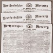 Drunken assault on the police - Hertford county sessions