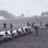 Luton Boro Police Annual Sports 1934