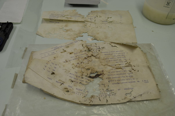 A badly damaged document