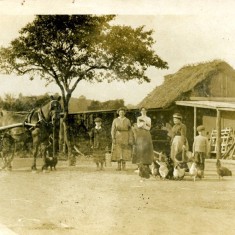 Claypits Farm Dairy | BISHM 459.1