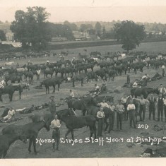 Horse lines of the Staffordshire Yeomanry at Bishop's Stortford | BISHM 566